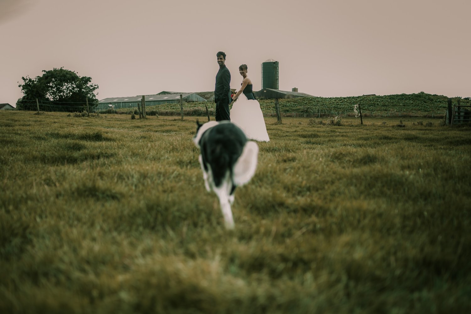 bruidsfotografie-amsterdam-utrecht-mark-hadden-wedding-photography-Cathrin-Michael-355-3.jpg