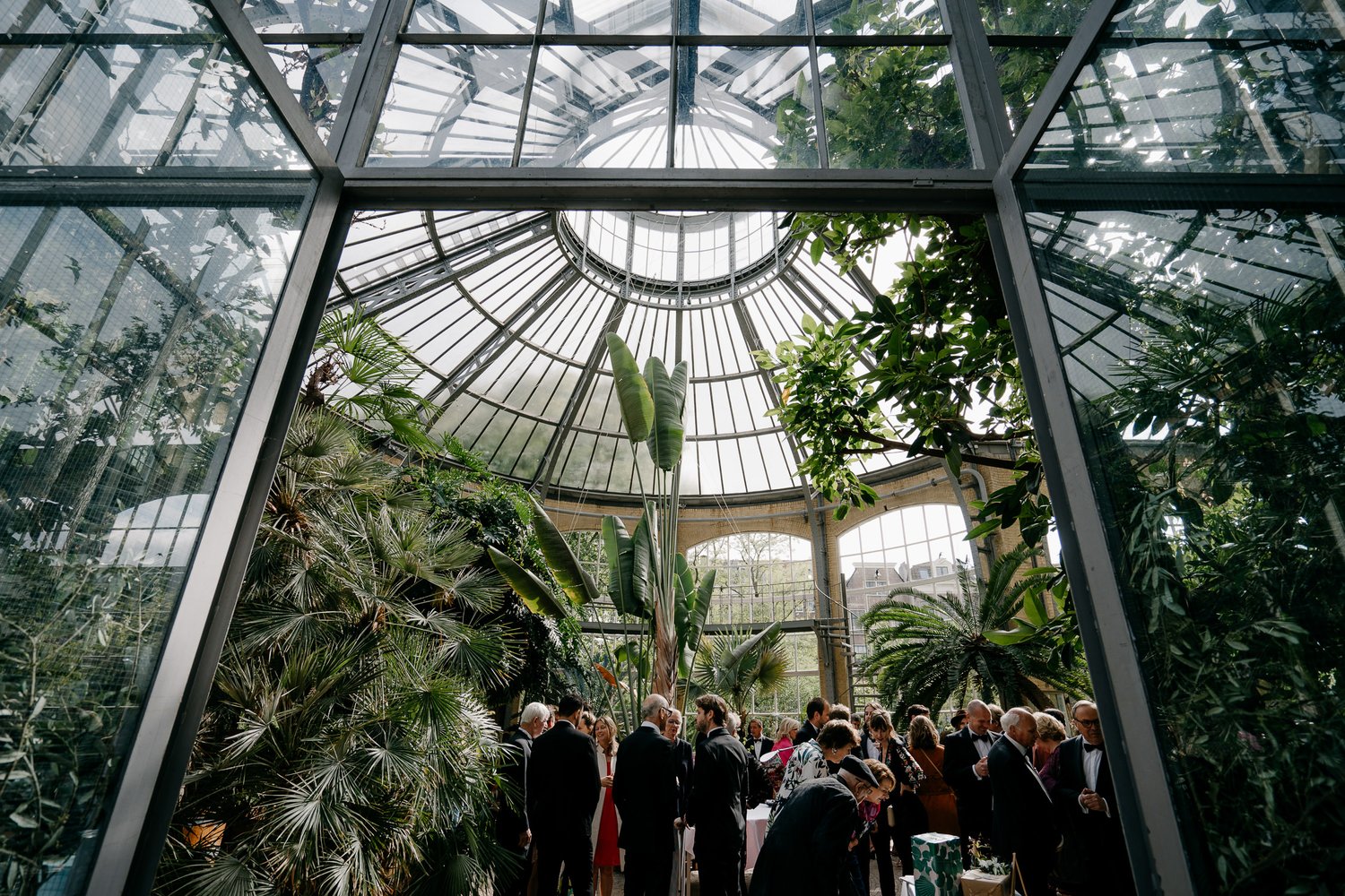 wedding photography at the hortus amsterdam by mark hadden bruidsfotograaf
