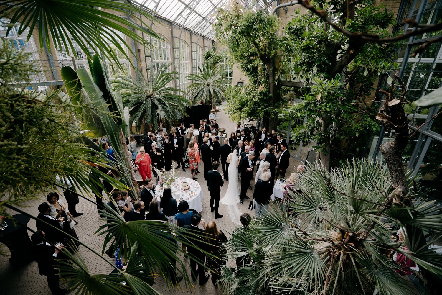 wedding in the hortus amsterdam