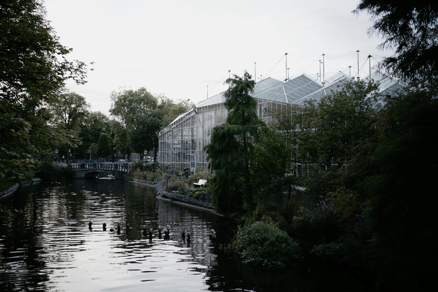 Beautiful wedding location in amsterdam Prachtige bruiloft locatie in amsterdam